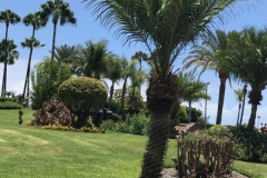 Anfi Beach Insel