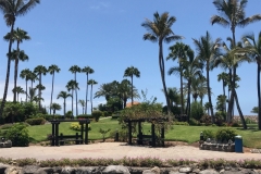 Anfi Beach Insel