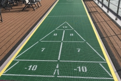 Asara Shuffleboard