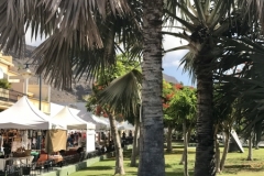 Markt in Mogan
