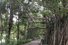 Kuranda Dorf