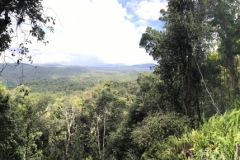 Kuranda Skyrail Cablecar