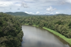 Kuranda Skyrail Cablecar