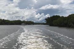 Port Douglas Lady Douglas River Cruise