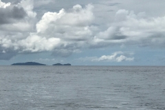 Port Douglas Crocodile Island