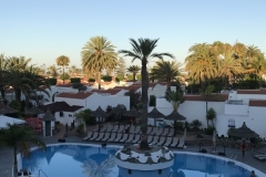 Sol Barbacan Pool Palmera