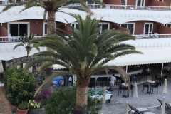 Sol Barbacan Pool Palmera