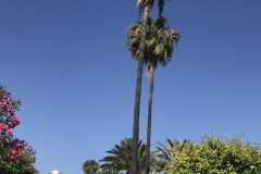 Sol Barbacan Gartenanlage