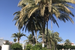 Sol Barbacan Gartenanlage