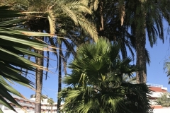 Sol Barbacan Gartenanlage