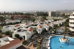 Sol Barbacan Pool Palmera