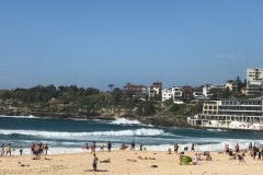 Sydney Bondi Beach Sightseeing