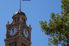 Sydney Hop on Hop off Sightseeing